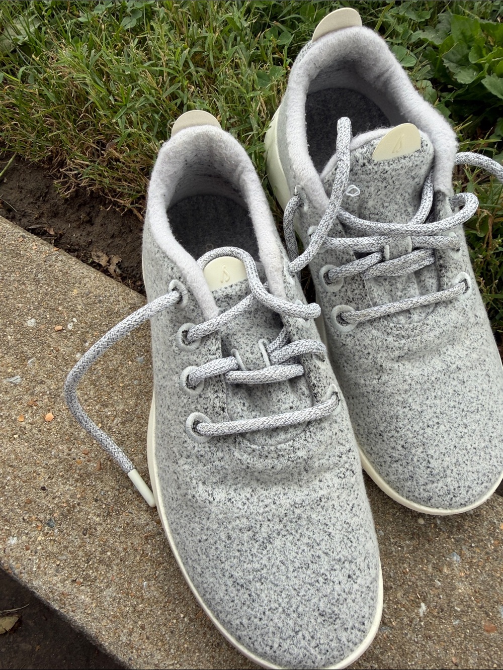 Allbirds Cozy Gray Sneaker EUC size 8